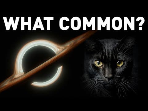 Unbelievable Link between a Cat and a Black Hole Revealed!