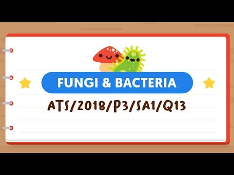 PSLE SCIENCE MADE SIMPLE EP90 | Fungi & Bacteria | Slowing Down The Growth Of Mould