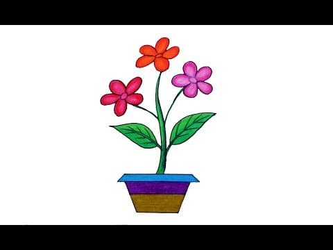 How to draw Flower tree with tub, flower tree and pot drawing