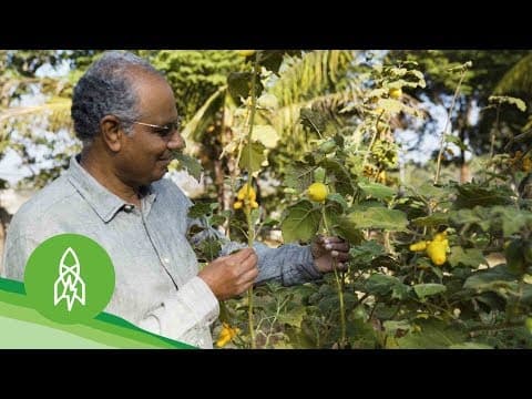 Protecting endangered vegetables
