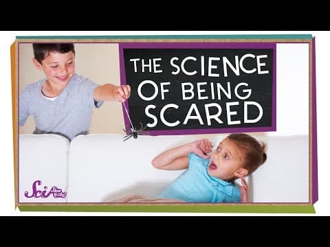 The science of being scared