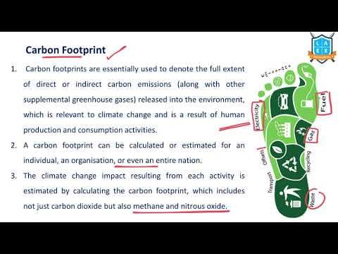 What is Carbon Footprint ? || Carbon Footprint అంటే ఏమిటి?
