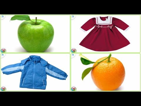 Fruits and Clothes and Fun Testing Game