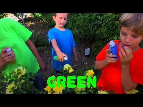 Learn English Colors Spray Painting Rainbow Roses