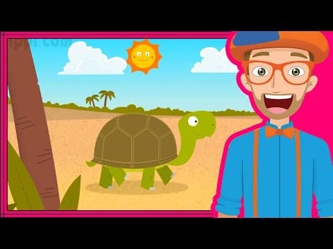 The tortoise song by blippi - animals for toddlers