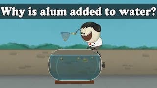 Water Purification - Why is alum added to watern  aumsum kids science education children