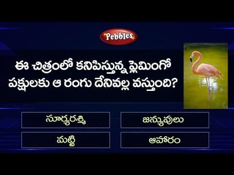 GK For all Competitive Exams part-7  -  GK Quiz  -  general knowledge questions in telugu