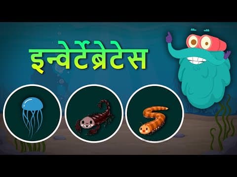 इन्वेर्टेब्रेटेस | अकशेरूकीय | Invertebrates In Hindi |Dr.Binocs Show |Best Learning Videos For Kids