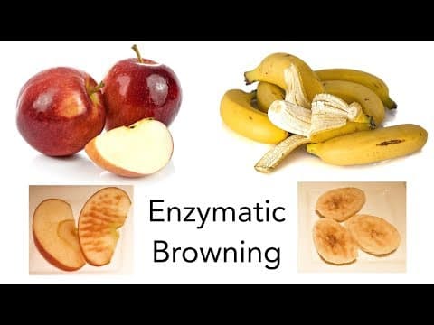 Why Do Apples and Bananas Turn Brown? - STEM activity - YouTube
