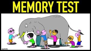 VISUAL MEMORY TEST