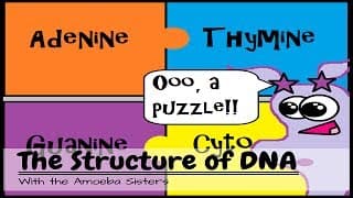 Structure and Function of DNA with the Help of Jurassic Park