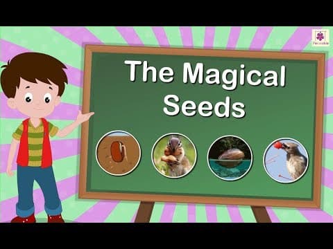The Magical Seeds | How Seed Becomes Plant | Science For Kids | Grade 5