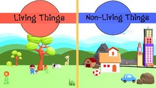 Living and Nonliving Things |Difference between Living And Nonliving Things