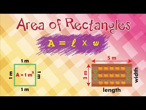 Area of a Rectangle | Learn with Solved Real-Life Examples