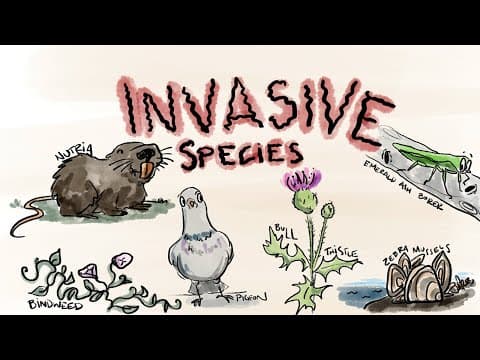 What Are Invasive Species