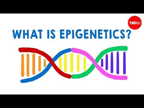What is epigenetics? - Carlos Guerrero-Bosagna - YouTube