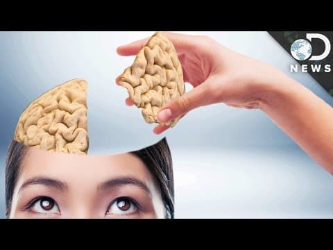 Can You Live With Only Half Of Your Brain