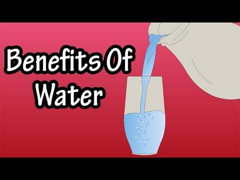 The Major Health Benefits Of Drinking Water - Importance Of Drinking Water