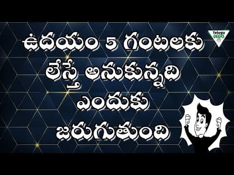 Morning habits of most successful people - the 5 am club book summary