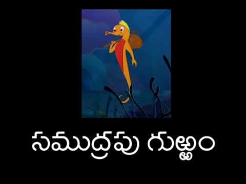 Simham cheppina kathalu - 11 - samudrapu gurram - telugu animated stories for kids