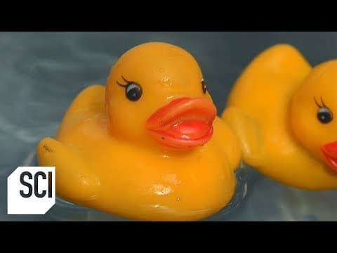 When thousands of rubber ducks were accidentally dumped into the ocean