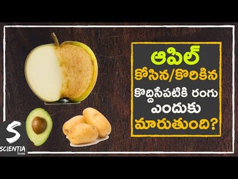 Why Do Apples Turn Brown When You Cut Them?