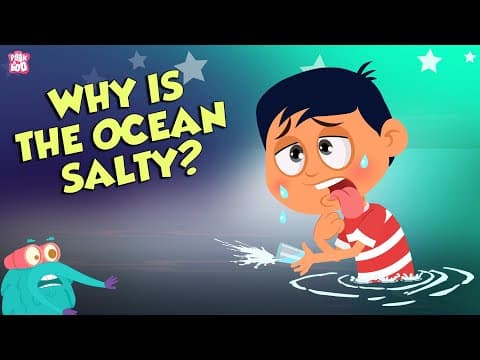 Why is ocean water salty? - earth's ocean - dr binocs show