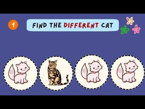 Find The Odd One Out | Pre-number concepts | Part 11 | Practice My Worksheets