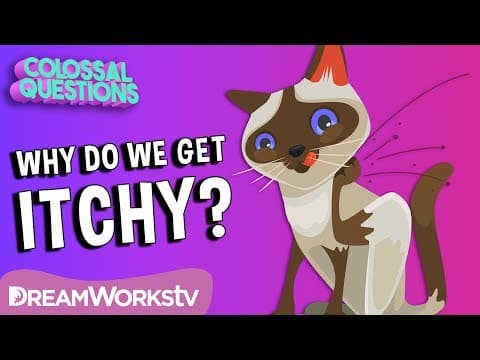 Why Does Scratching An Itch Feel Good? | COLOSSAL QUESTIONS