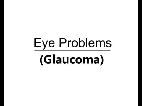 Eye Problems Glaucoma Animation Telugu Audio