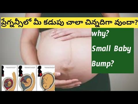 pregnancyలో కడుపు చిన్నదిగా వుందని ఆలోచిస్తున్నారా/small baby bump during pregnancy?