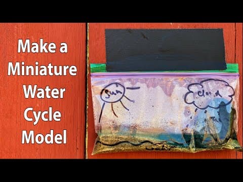 Make a Miniature Water Cycle Model | STEM Activity