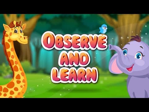 Observe and Learn -- Kids Fun and Learn