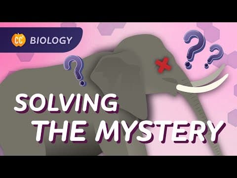 Intro to Ecology: Why Did All These Elephants Die?: Crash Course Biology #5