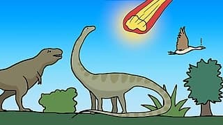 How Many Mass Extinctions Have There Been?