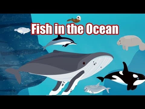 Sea Learning Entertainment Video for Kids - Animals in the Ocean