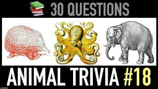 ANIMAL TRIVIA QUIZ