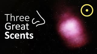 Three Scents From Outer Space