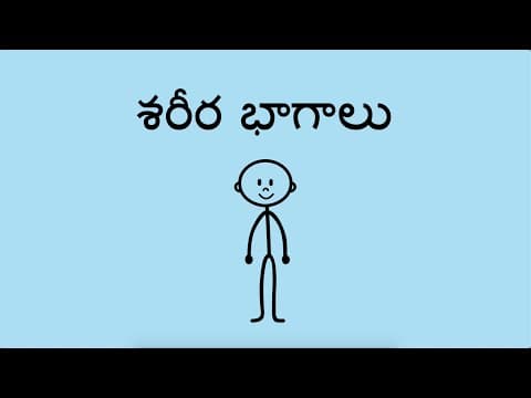 శరీర భాగాలు - Parts of the Body (Telugu)
