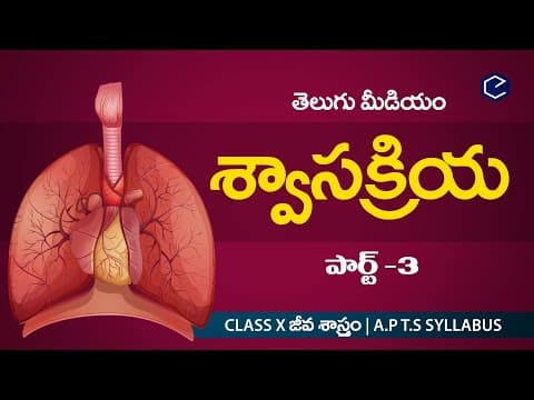 శ్వాస క్రియ Swasakriya part-3 | Biology Respiration in telulgu