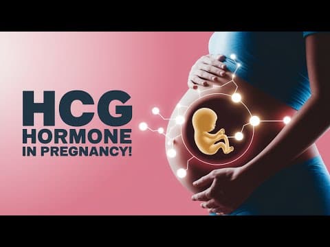 Hcg hormone during pregnancy-levels, tests and role in a pregnancy