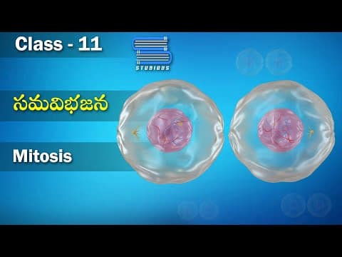 సమజీవకణవిభజన – Mitosis | Cell cycle & Division | Biology Telugu