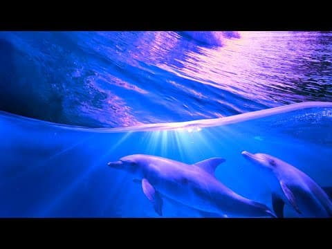 Relaxing Deep Sleep Music Fall Asleep Fast & Easy - Nap Time - Bedtime Music - Quiet Time