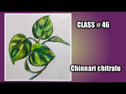 Drawing Class || How to draw a money plant|| money plant