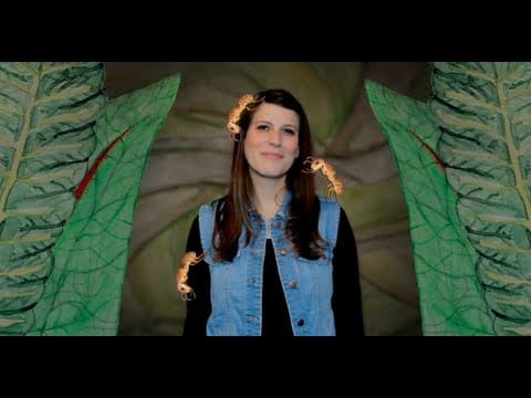 Carnivorous Plants and Killer Ants | NOVA - YouTube