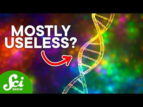 What is Junk DNA, and Why Do We Have So Much? - YouTube
