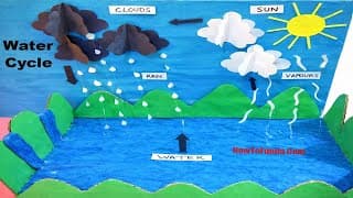 Water Cycle Science Project | model making | best out of waste | science project