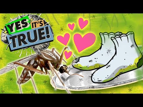 Do Mosquitos Like Feet That STINK??? | YES, IT'S TRUE - YouTube