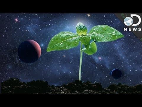 How Astronauts Grow Plants In Space - YouTube