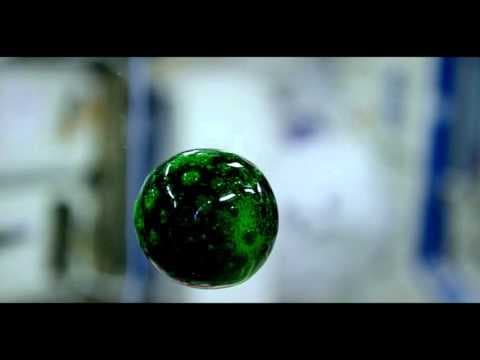 4K Video of Colorful Liquid in Space